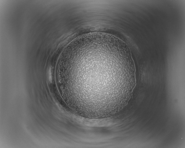 X0000077990026200610271122
