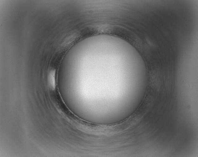 X0000077990028200610271122