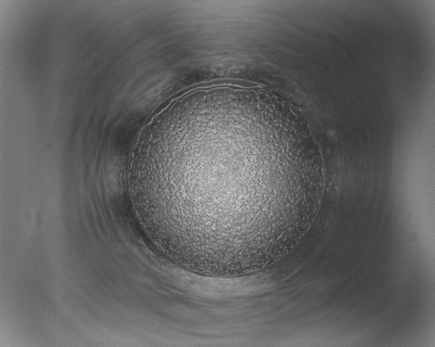 X0000077990034200610271122