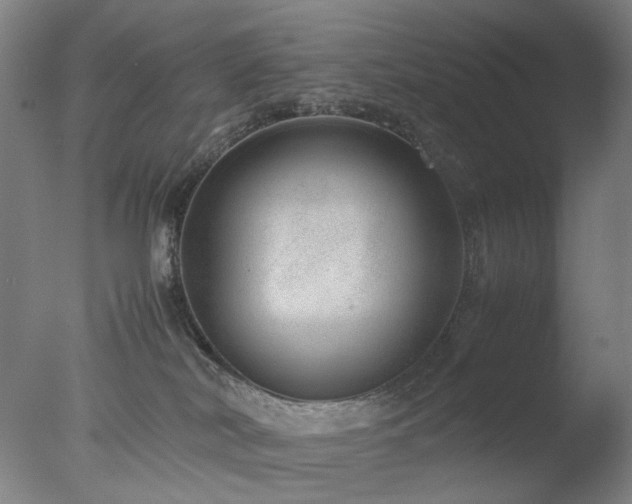 X0000077990038200610271122