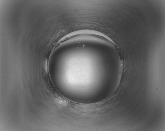 X0000077990041200610271122