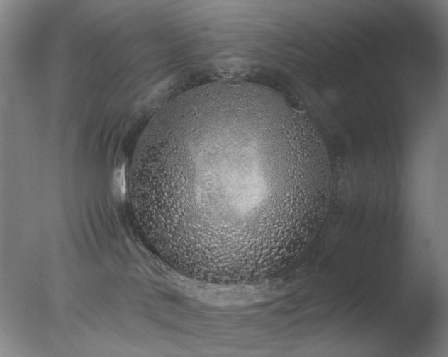 X0000077990042200610271122