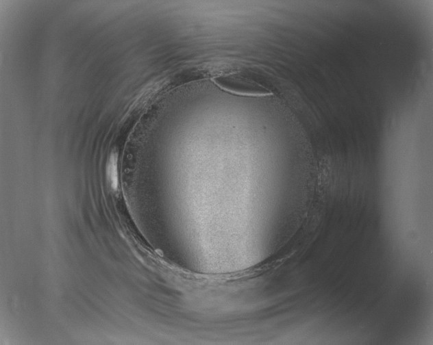 X0000077990046200610271122