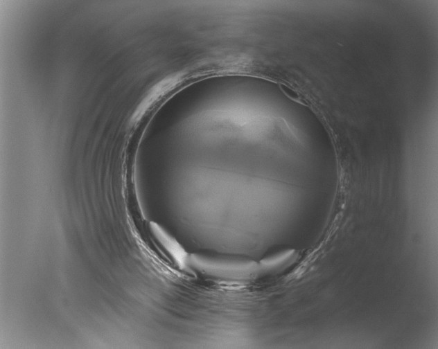 X0000077990054200610271121