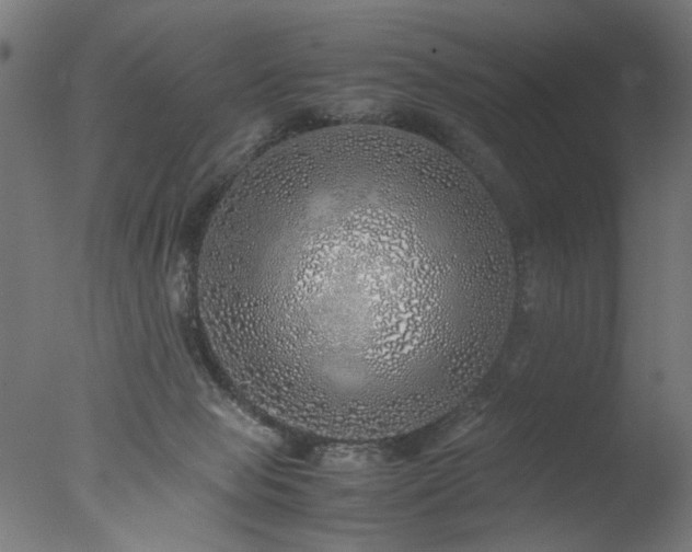 X0000077990077200610271121