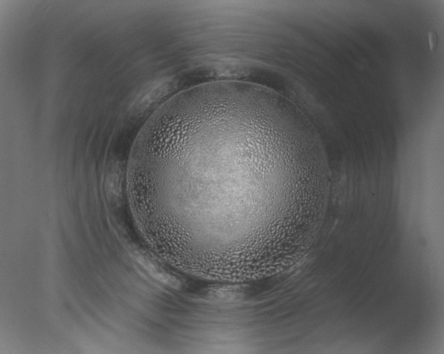 X0000077990078200610271121
