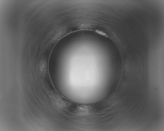 X0000077990079200610271121