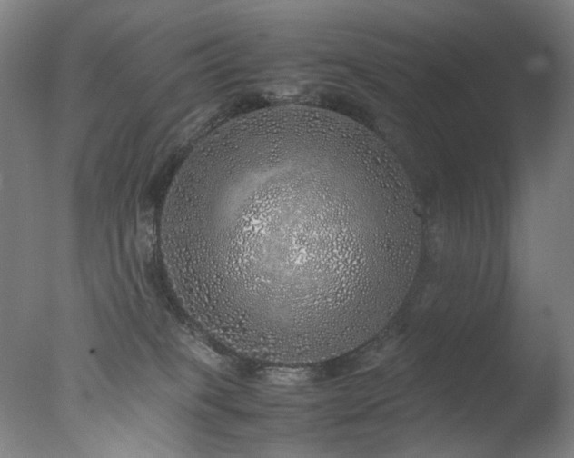 X0000077990085200610271121