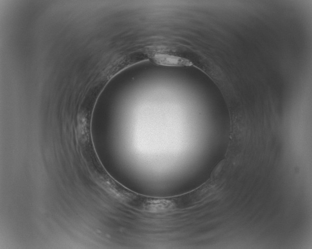 X0000077990087200610271122