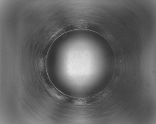 X0000077990088200610271122