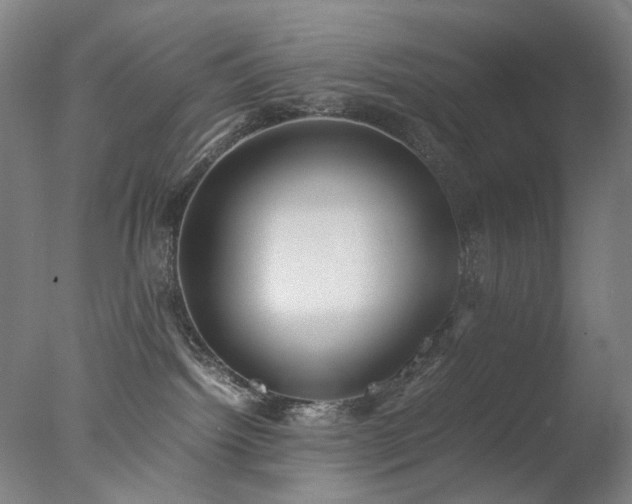 X0000077990092200610271122