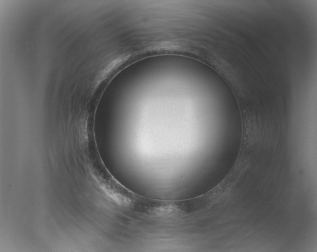 X0000077990112200610271121