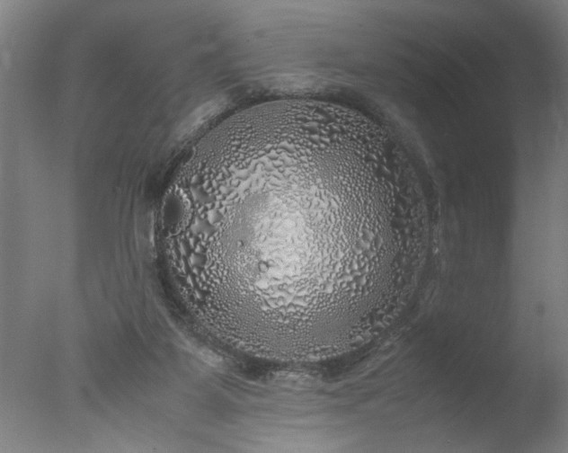 X0000077990115200610271121