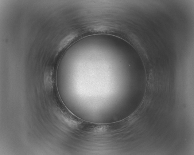 X0000077990116200610271121