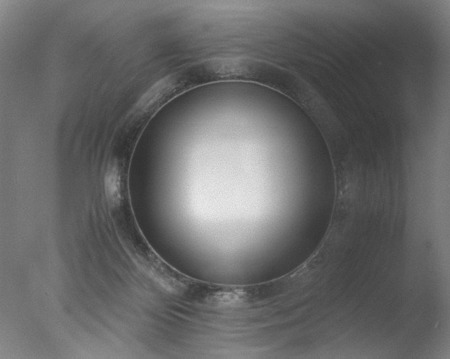 X0000077990124200610271120
