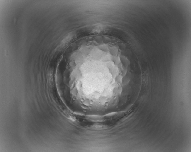 X0000077990127200610271120