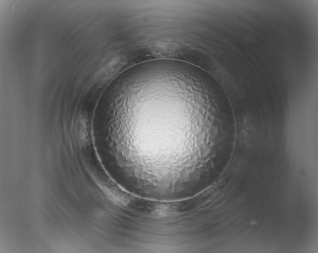 X0000077990130200610271120