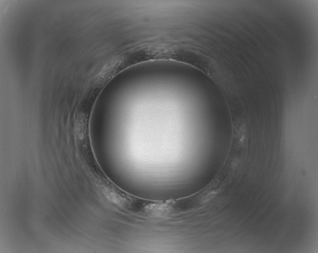 X0000077990133200610271120