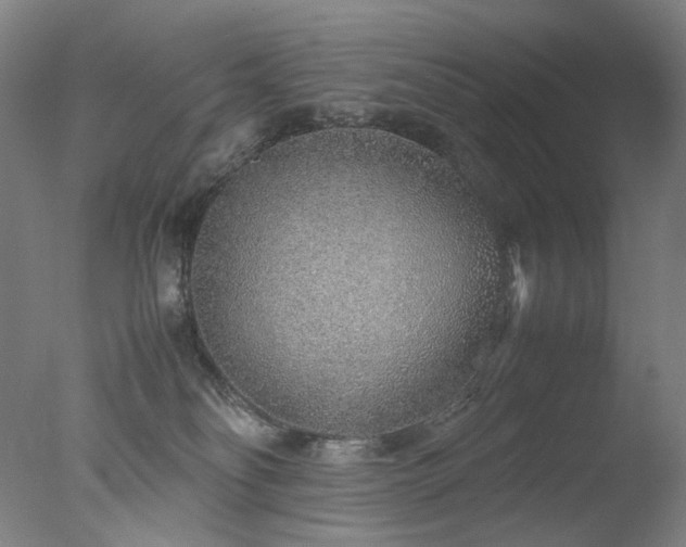 X0000077990134200610271120