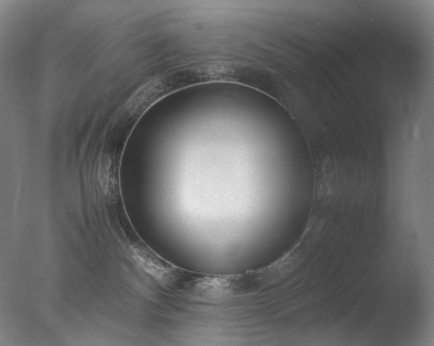 X0000077990140200610271120