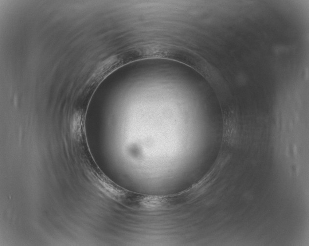 X0000077990142200610271120