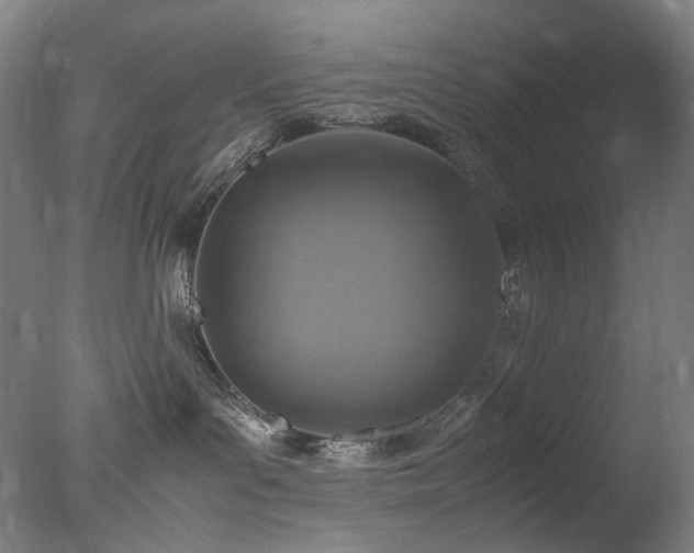X0000077990143200610271120