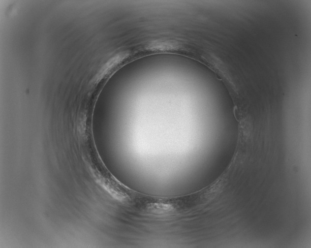 X0000077990159200610271119