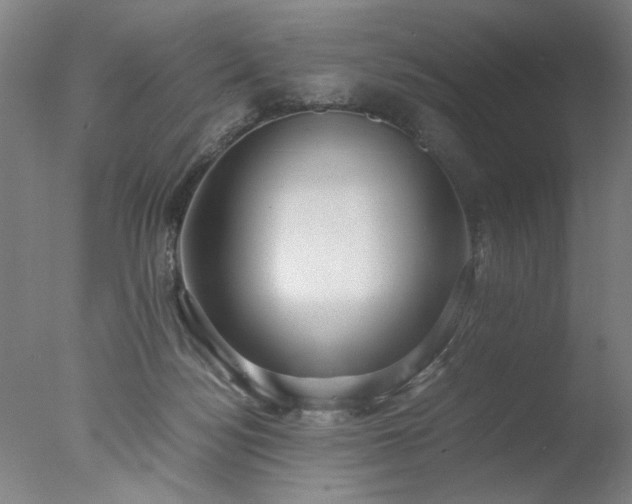 X0000077990172200610271120