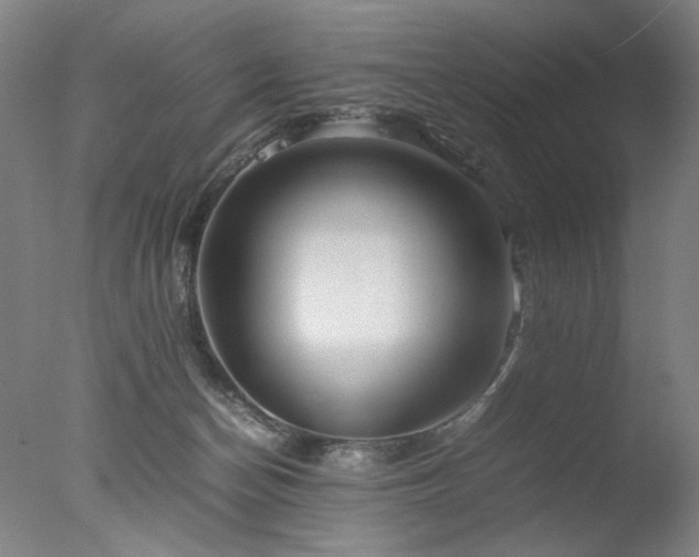 X0000077990174200610271120