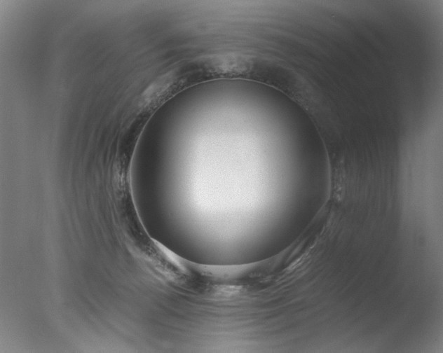 X0000077990176200610271120