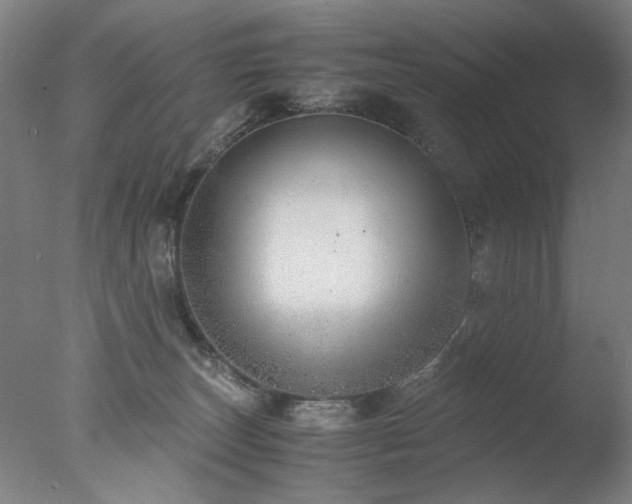 X0000077990179200610271120