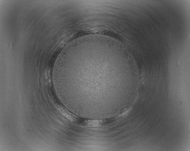X0000077990182200610271120