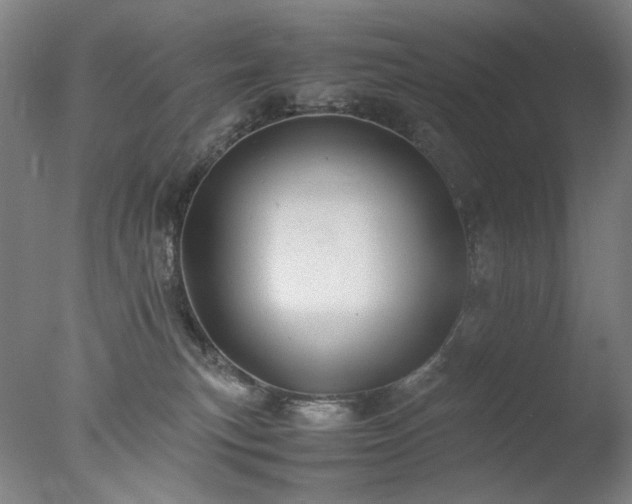 X0000077990183200610271120