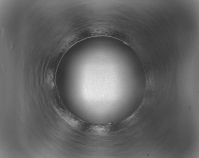 X0000077990187200610271120