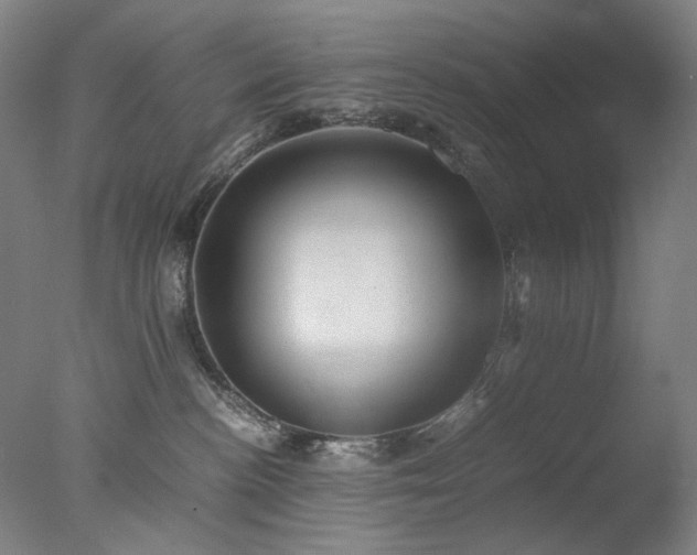 X0000077990188200610271120