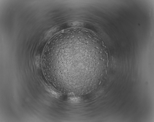 X0000077990189200610271120