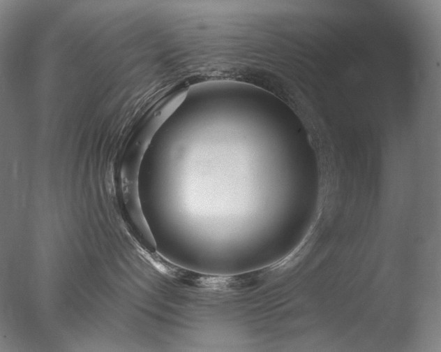 X0000077990192200610271120