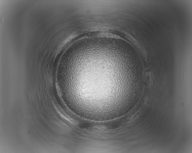 X0000077990203200610271119