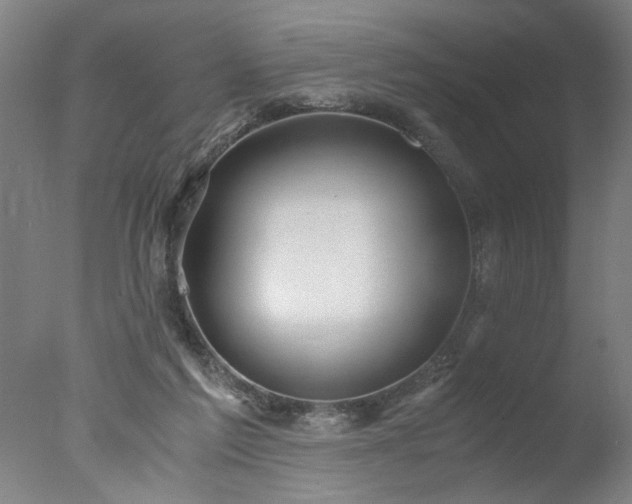 X0000077990213200610271119