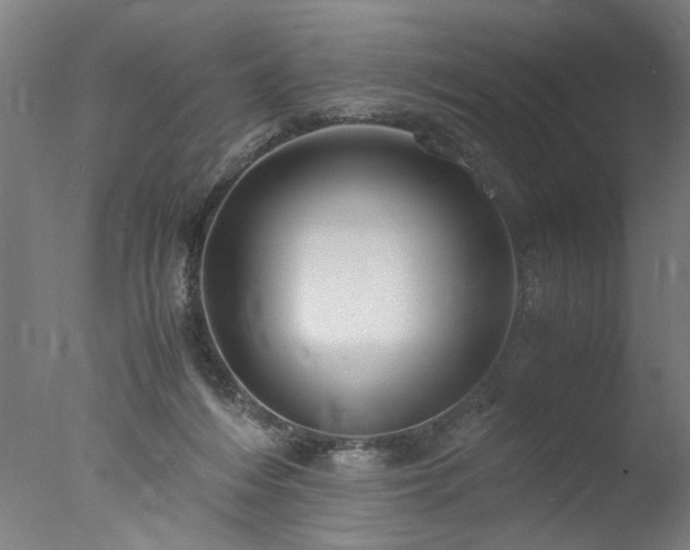 X0000077990216200610271119