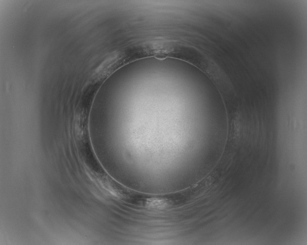 X0000077990218200610271119