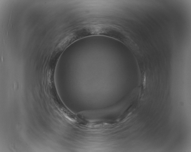 X0000077990219200610271119