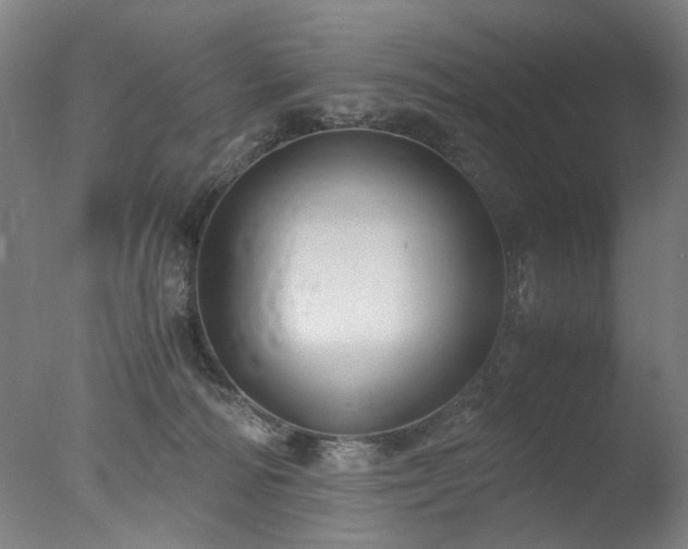 X0000077990226200610271119