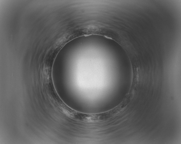 X0000077990232200610271119