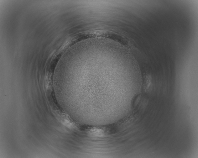 X0000077990236200610271118
