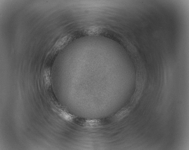 X0000077990240200610271118