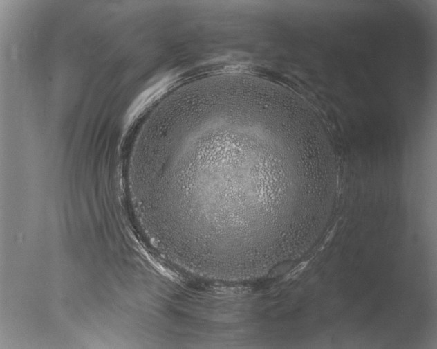 X0000077990245200610271118
