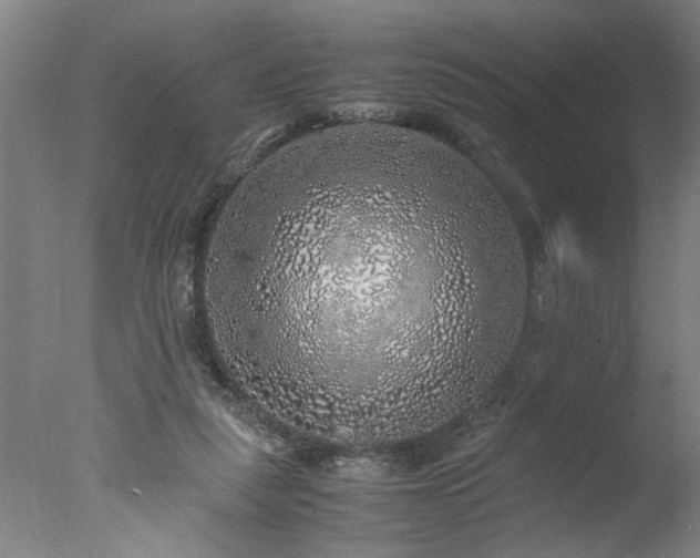 X0000077990259200610271118