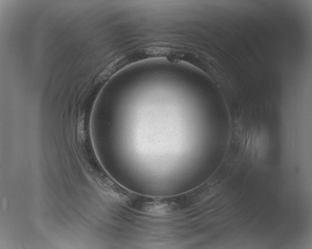 X0000077990267200610271118
