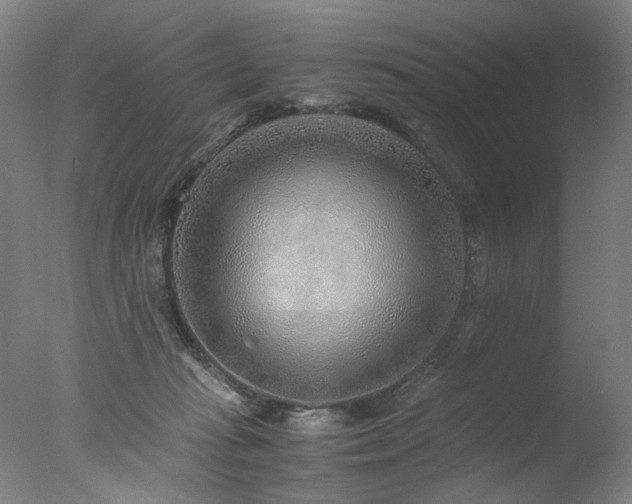 X0000077990269200610271118